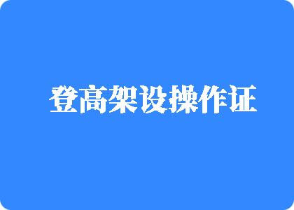 免费操逼真爽登高架设操作证